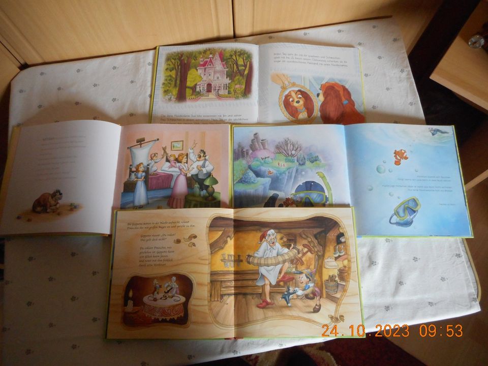 diverse Kinderbücher von Walt Disney und anderen Verlagen in Oppach