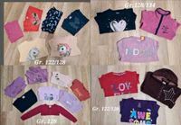 Langarmshirts/ Pullover Gr. 122-134 Nordrhein-Westfalen - Hille Vorschau