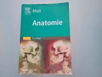 Anatomie Moll 18.überarbeitete Auflage Medizinstudium Niedersachsen - Hude (Oldenburg) Vorschau