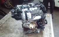 Ford Transit 2,0 EcoBlue YLCC Motor Triebwerk Engine Nordrhein-Westfalen - Dorsten Vorschau