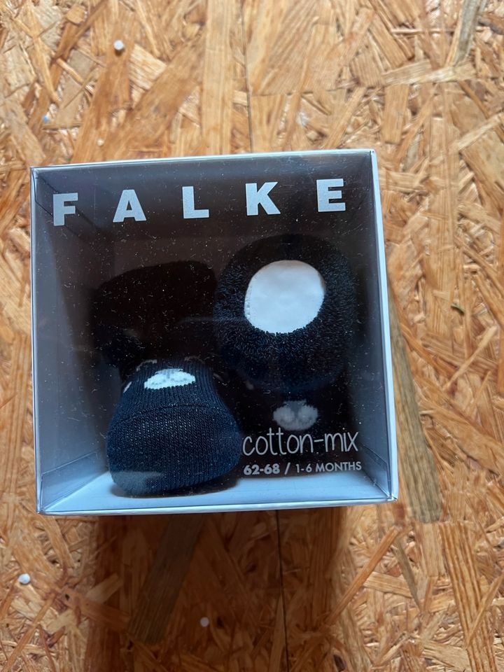 Socken Falke junge Baby neu Größe 62-68 1-6 Monate neu Geschenk in Backnang