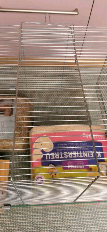 Kleintier Hamster Nager Käfig aus Glas inklusive Zubehör in Eisenach