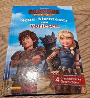 Kinderbuch Dragons Neue Abenteuer zum Vorlesen Bremen - Oberneuland Vorschau