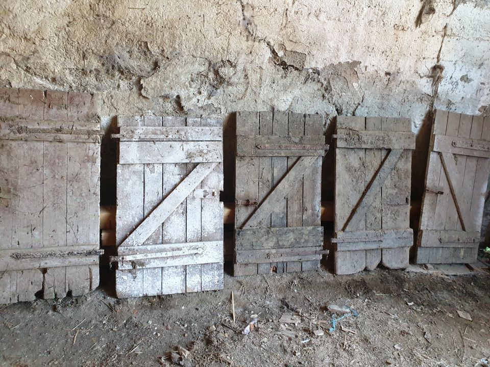 Stalltüren abzugeben als deko in Bad Sulza