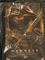 Hot Toys Hawkeye Deluxe Endgame MMS532 neuwertig Baden-Württemberg - Sandhausen Vorschau