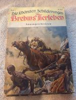 Die schönsten Schilderungen aus Brehms Tierleben Niedersachsen - Burgdorf Vorschau