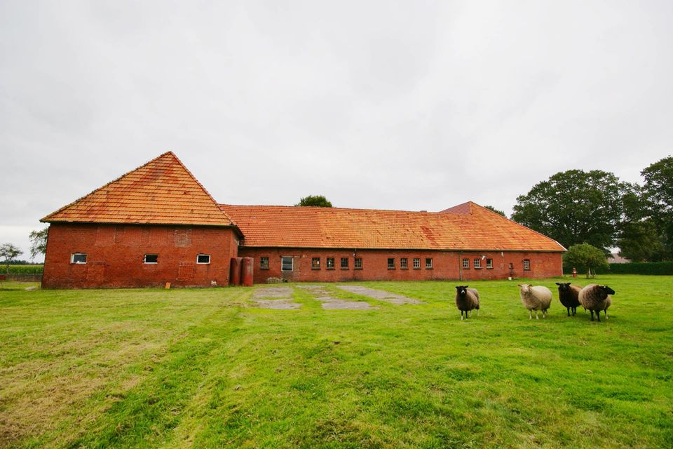 Provisionsfrei für den Käufer! Imposanter Resthof mit Potential in abgeschiedener Lage bei Ocholt in Westerstede