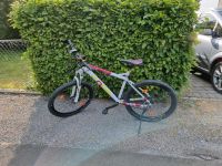 Cone Mountainbike Damenrad Fahrrad Nordrhein-Westfalen - Brilon Vorschau