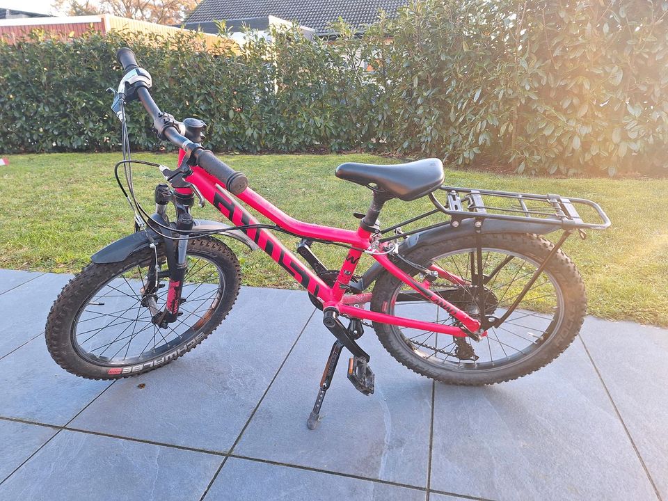 Ghost Mountainbike Pink 20Zoll Fahrrad in Barwedel