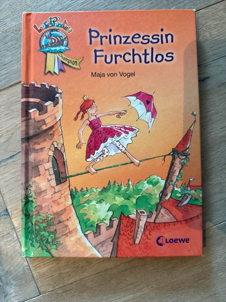 Buch Prinzessin Furchtlos in Gemmrigheim
