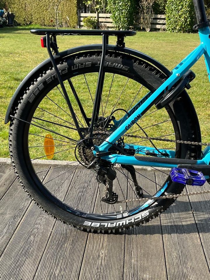 E-Bike Conway, Rahmengröße L, mit Händlergarantie in Kaltenkirchen
