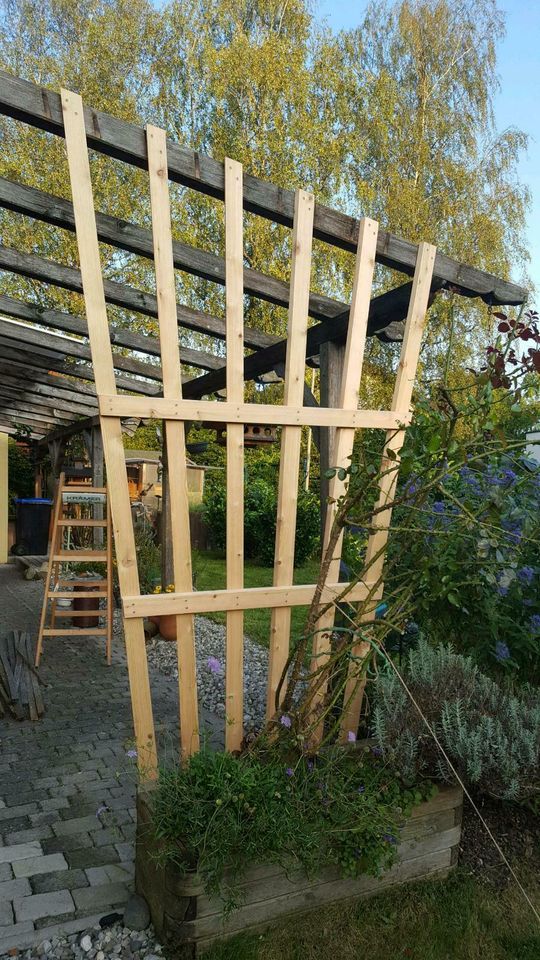 Holzarbeiten HolzTerrasse Holzboden Sichtschutzwand Dachfenster in Grabenstätt