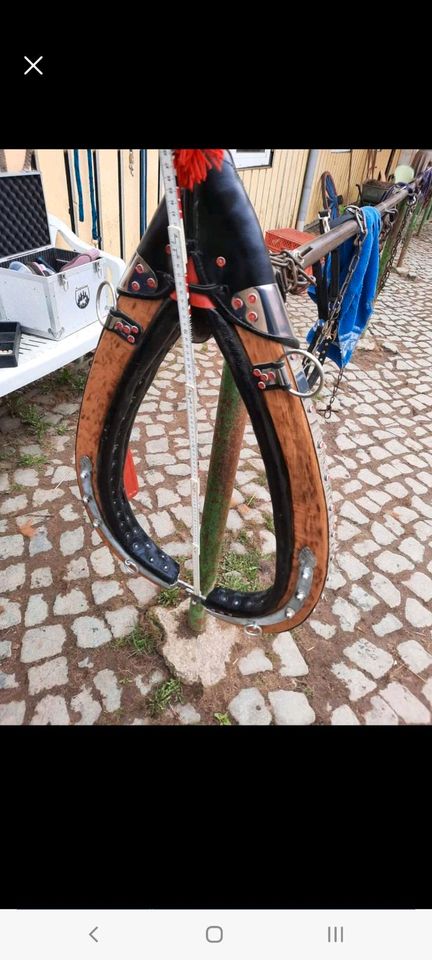 Zweispänner Kummet zu verkaufen in Benneckenstein (Harz)