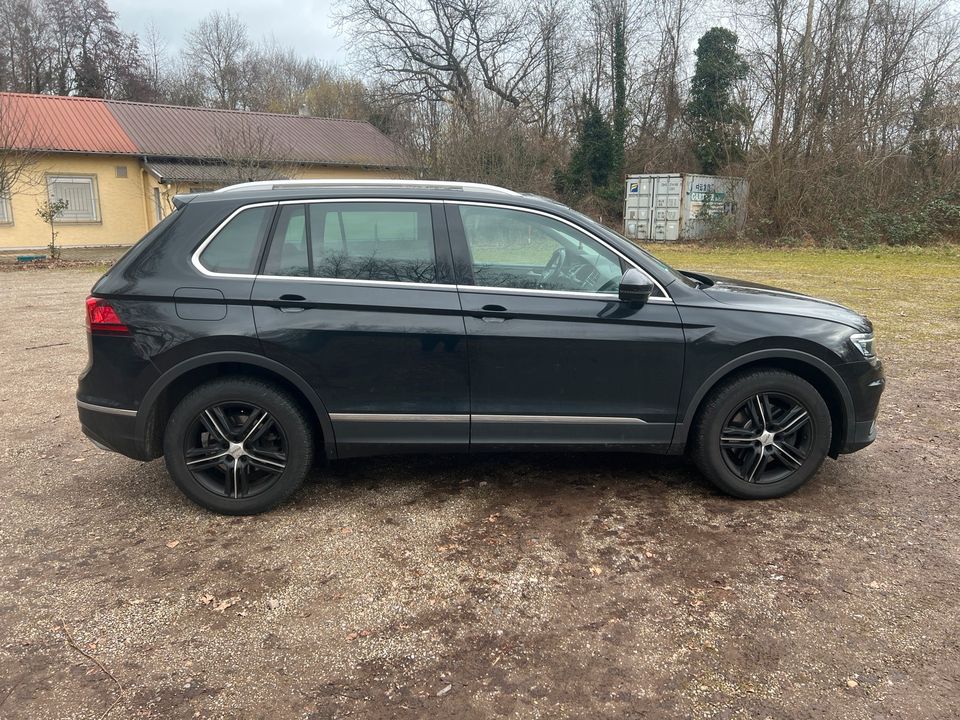 VW Tiguan 4x4 TDI in Hördt