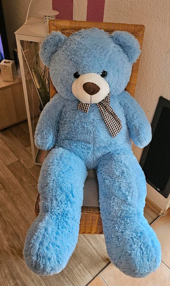 XXL Teddybär in Kropp