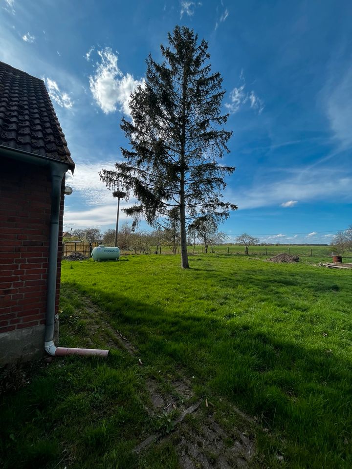 Charmantes Landhaus- ideal für Naturliebhaber in Teldau