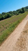 Suche Bauern mit Bauernhof im Saarland für einzigartiges Konzept Saarland - Rehlingen-Siersburg Vorschau
