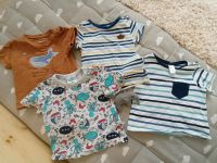 Babyshirts T-Shirts 68 Staccato H&M Topomini Sommer Niedersachsen - Hagen am Teutoburger Wald Vorschau