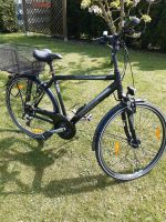 Fahrrad Pegasus 28 Zoll Niedersachsen - Celle Vorschau