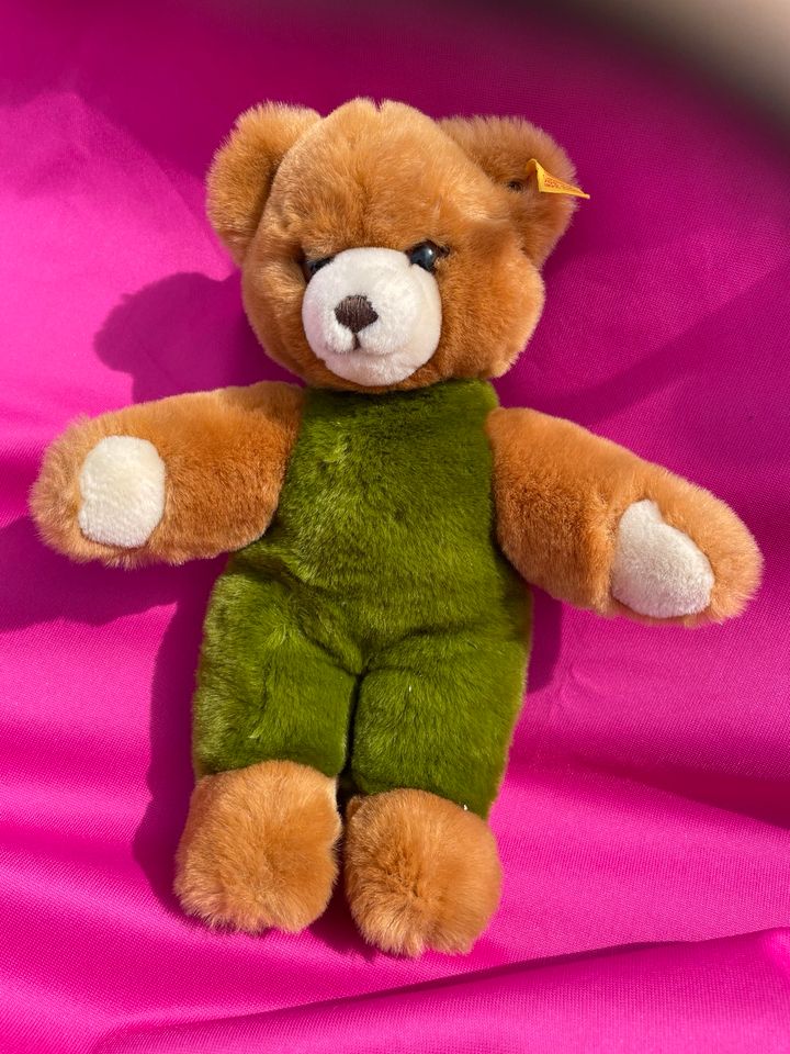 Steiff Teddybär grün braun in Zandt