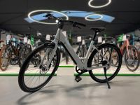 Riese & Müller UBN Six - 2023 e-Bike Rheinland-Pfalz - Worms Vorschau