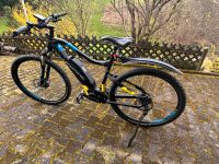 29 Zoll Ebike Haibike Sduro Hardnine 3.5 Baden-Württemberg - Bühlertal Vorschau