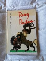 DDR-Kinderbuch Pony Pedro Thüringen - Waltershausen Vorschau