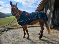 Bemer Horse Set zu verleihen Bayern - Falkenstein Vorschau