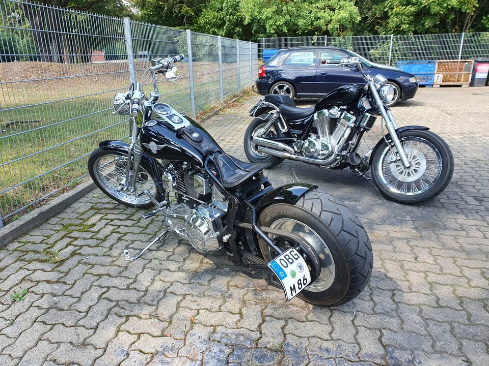 Harley Davidson Softail Bobber in Schönhausen (Elbe)