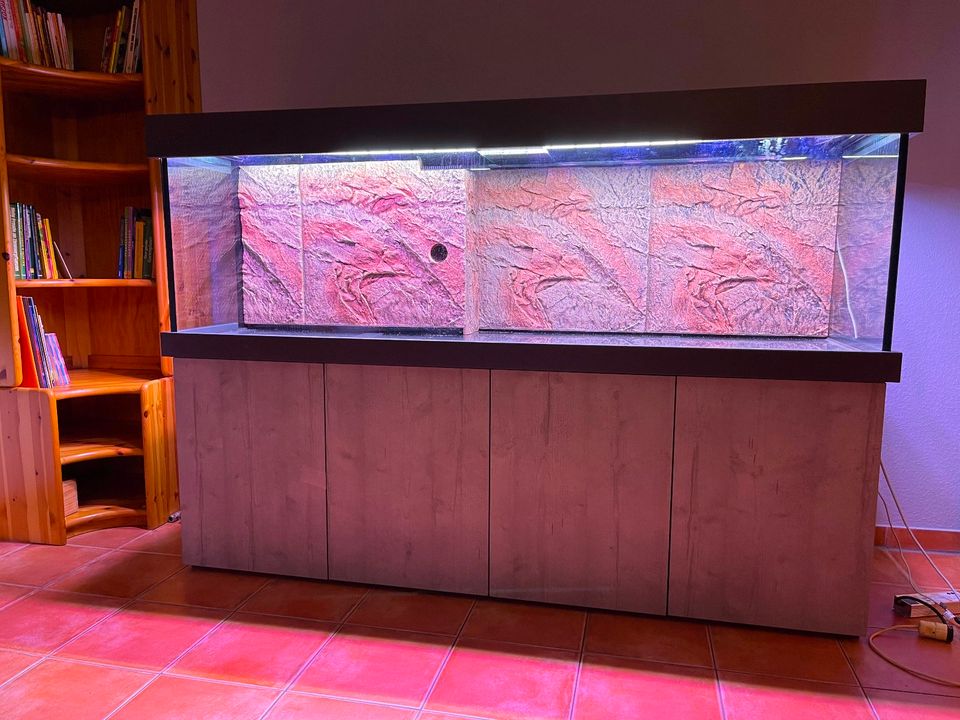 Aquarium Kombination 200 x 60 x 60cm 720l neu in diversen Dekoren in Dortmund