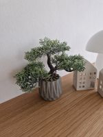 Deko, bäumchen, Kunstbaum, grau, scandi, hygge, modern, pflanze Nordrhein-Westfalen - Espelkamp Vorschau