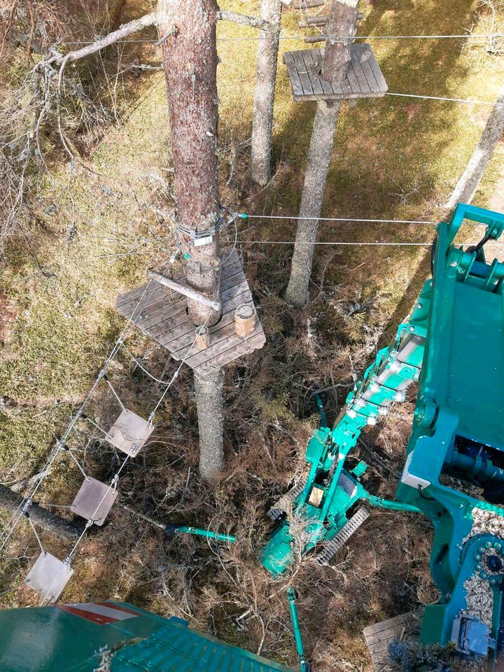 BaumFloh - Baumpflege und Baumfällungen # Baum Fällen & Schneiden in Lenzkirch