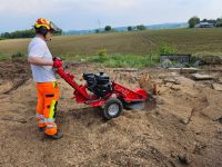 Baumstumpfentfernung Nordrhein-Westfalen - Enger Vorschau