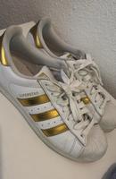 Superstar Adidas Sachsen - Zwickau Vorschau