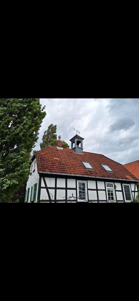 PV-Reinigung-Solarreinigung-Photovoltaikanlagen-Reinigung in Lübbecke 