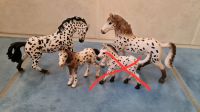 Schleich Pferd Knabstrupper Knapstrupper Fohlen Stute Hengst Niedersachsen - Schwanewede Vorschau