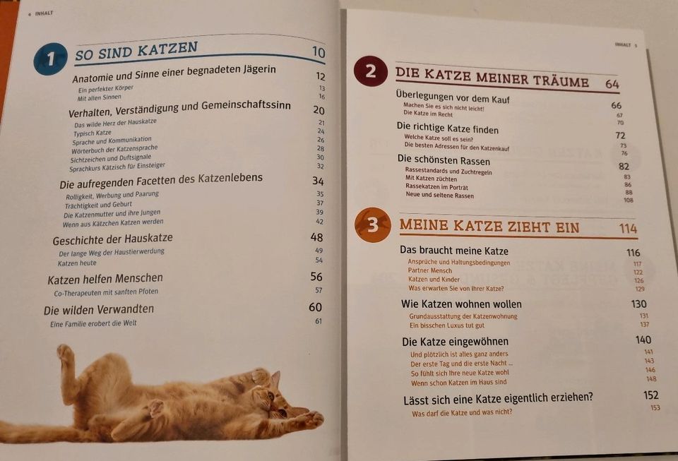 Katzen, Das große Praxishandbuch GU in Hannover