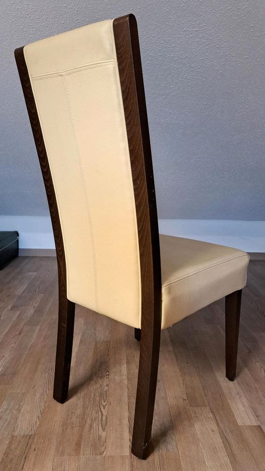 10x Stuhl Stühle Esszimmer Esstisch Küche Holz & Kunstleder - TOP in Battenberg