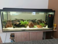 Aquarium Komplett  100cm x 30cm x 40cm Bayern - Altenkunstadt Vorschau