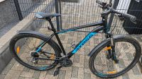 Axess SANDEE 21 Zoll Mountainbike Hessen - Bad Wildungen Vorschau