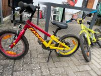 Kinderfahrrad 16 Zoll Carrera Rheinland-Pfalz - Wallmerod Vorschau