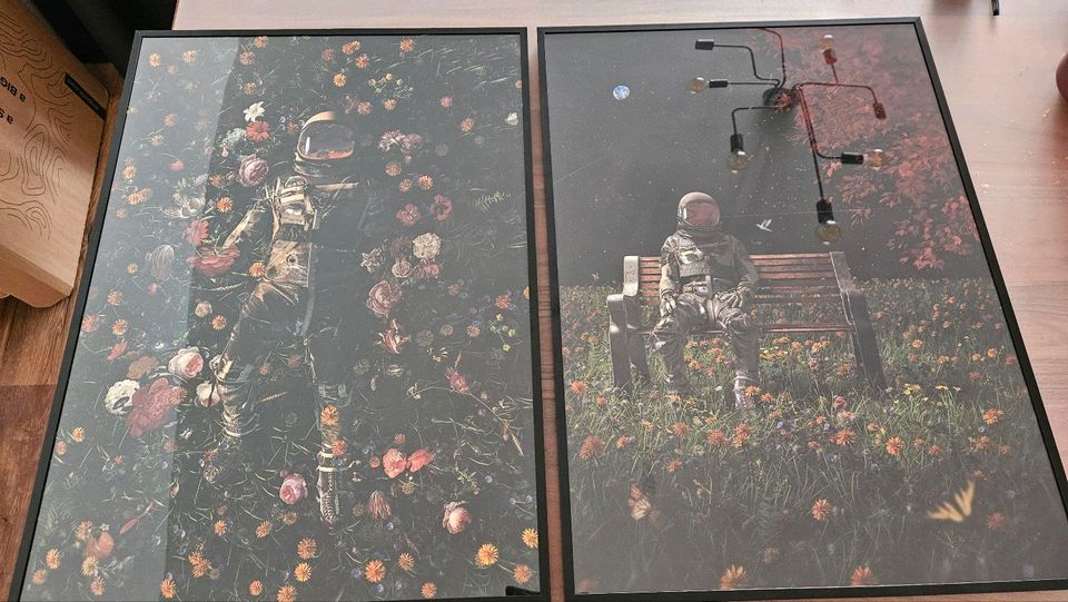 Hochwertige Bilder mit Rahmen von Andy Okay  50 x 70 cm in Düsseldorf
