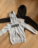 Pullover, Pullis, Marke Puma, Markenpullover, Puma Niedersachsen - Osterholz-Scharmbeck Vorschau