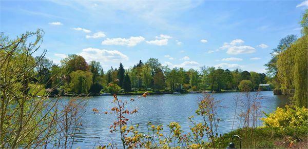 Herrschaftliche 9 Zimmer- Stadtvilla - 1905- in Traumlage Grunewald dicht am Wasser! in Berlin