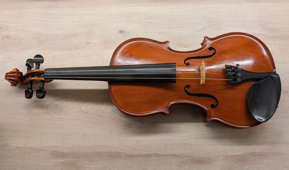 Violine / Geige für Mittelstufe oder Fortgeschrittene in Neufahrn