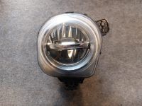 BMW X3 F25 LED Nebelscheinwerfer vorne links 7317251 BA272 Nordrhein-Westfalen - Werne Vorschau