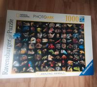 Puzzle 1000 Teile Ravensburger Nordrhein-Westfalen - Paderborn Vorschau