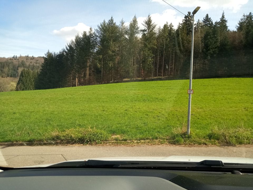 Garten, Wiesengrundstück,Bebauungsland? in Lahr (Schwarzwald)