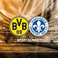 2x BvB gegen Darmstadt 98 Tickets Rheinland-Pfalz - Neuwied Vorschau