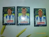 Panini Sammelbilder/ Fußball 97/ Karlsruher SC Sachsen - Claußnitz Vorschau